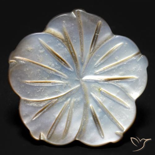 Madreperla multicolore taglio fiore da 14,21 ct dalla Cina, dimensione 23x25,6 mm, pietra preziosa naturale Acqua dolce naturale , purezza Opaque, Madreperla Fiore intagliato da 1 pz, durezza Mohs di 2,5 - 4,5, Photo A