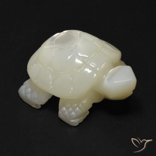 21,2x17,1 mm Madreperla bianco taglio fantasia dalla Cina, peso di 21,41 ct, pietra preziosa naturale Acqua dolce naturale in purezza Opaque, 1 pezzo Madreperla Tartaruga intagliata - Colore: bianco perla, durezza Mohs di 2,5 - 4,5 , Photo A