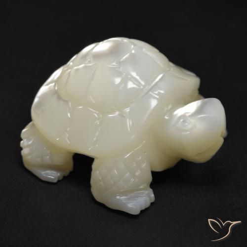 Nacre Blanc carved turtle 21,64 ct de Chine, dimension 20,5x17,6 mm, pierre gemme naturelle Eau douce naturelle, pureté Opaque , 1 pièce Nacre de couleur Blanc perle, dureté Mohs de 2.5 à 4.5, Photo A