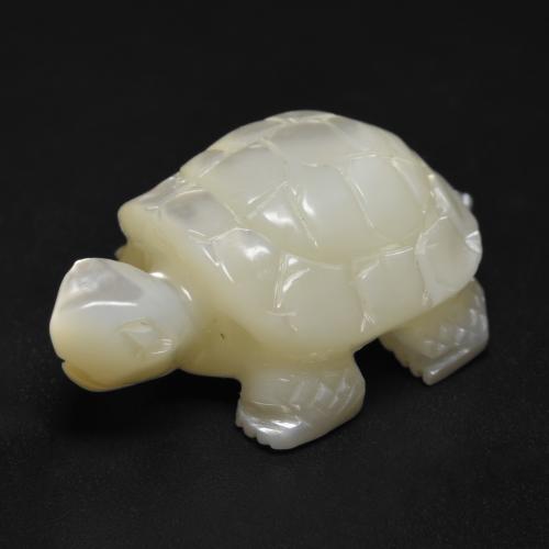 Blanc perle Nacre gemme - 23.4ct Tortue sculptée (ID: 587764)