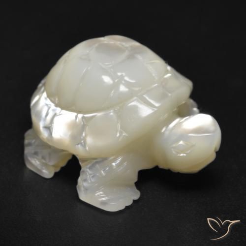 Nacre Blanc carved turtle 19,4x16 mm de Chine, poids de 17,07 ct, pierre gemme naturelle Eau douce naturelle de pureté Opaque , 1 pièce Nacre, couleur : Blanc perle, dureté de Mohs de 2.5 à 4.5, Photo A