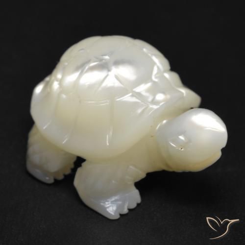 Nacre Blanc carved turtle de Chine, 19,4x13,6 mm, poids de 14,23 ct, pierre gemme naturelle Eau douce naturelle de pureté Opaque , 1 pièce Nacre, couleur Blanc perle, dureté Mohs de 2.5 à 4.5, Photo A