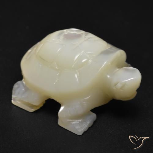 Nacre Blanc carved turtle 20,9x16,4 mm de Chine, poids de 18,53 ct, pierre gemme naturelle Eau douce naturelle de pureté Opaque , 1 pièce Nacre, couleur : Blanc perle, dureté de Mohs de 2.5 à 4.5, Photo A