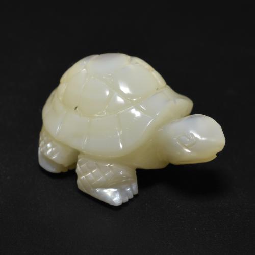 Pearl White Mother of Pearl Gem - 17.7ct Carved Turtle (ID: 588544)