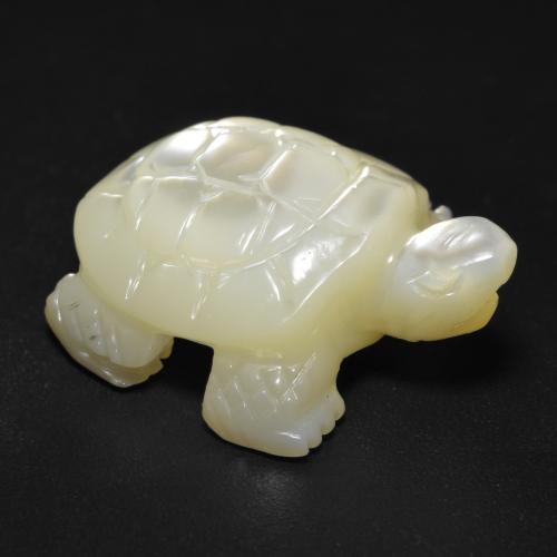 Pearl White Perlmutt Edelstein - 16.1ct Geschnitzte Schildkröte (ID: 588545)