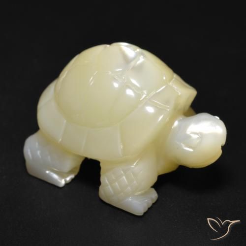 Nacre Blanc perle Fantaisie 22,57 ct de Chine, Dimension 20,8x16,1 mm, Pierre gemme naturelle Eau douce naturelle, pureté Opaque , 1 pièce Nacre carved turtle, dureté de Mohs de 2.5 à 4.5, Photo A
