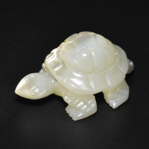 Pearl White Perlmutt Edelstein - 14.6ct Geschnitzte Schildkröte (ID: 588547)