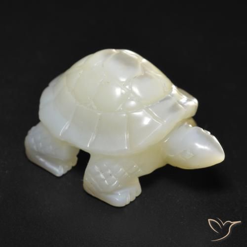 Nacre Blanc Fantaisie 21,5x14,9 mm de Chine, poids de 17,57 ct, pierre gemme naturelle Eau douce naturelle de pureté Opaque , 1 pièce Nacre carved turtle, couleur : Blanc perle, dureté de Mohs de 2.5 à 4.5, Photo A