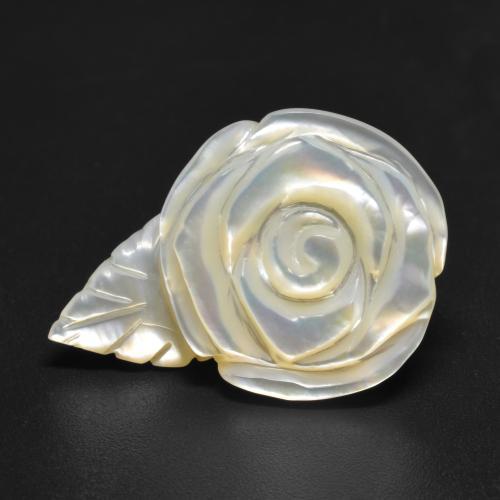 25,6x18,1 mm Madreperla bianco taglio fiore dalla Cina, peso di 19,19 ct, pietra preziosa naturale Acqua dolce naturale in purezza Opaque, 1 pezzo Madreperla Rosa intagliata - Colore: bianco perla, durezza Mohs di 2,5 - 4,5 , Photo A