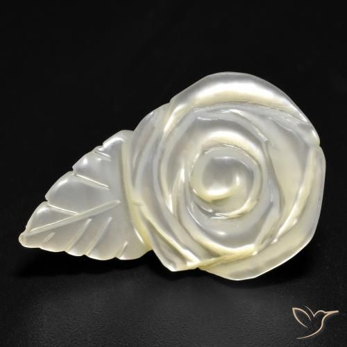 Nacre Blanc carved rose 24x15,7 mm de Chine, poids de 15,19 ct, pierre gemme naturelle Eau douce naturelle de pureté Opaque , 1 pièce Nacre, couleur : Blanc perle, dureté de Mohs de 2.5 à 4.5, Photo A