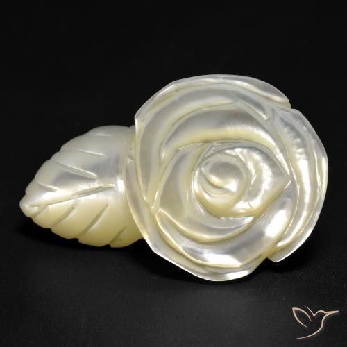 Madreperla 28,6x18,5 mm bianco Rosa intagliata dalla Cina, peso di 19,04 ct, gemma naturale Acqua dolce naturale in purezza Opaque, 1 pezzo Madreperla - Colore: bianco perla, durezza Mohs di 2,5 - 4,5, Photo A
