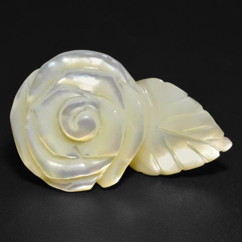 Nacre Blanc carved rose 21,29 ct de Chine, dimension 27,1 x 17,3mm, pierre gemme naturelle natural freshwater, pureté Opaque , 1 pièce Nacre de couleur Blanc perle, dureté Mohs de 2.5 à 4.5, Photo A