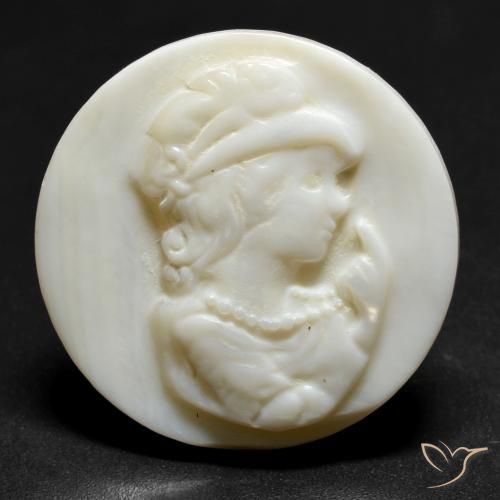 19.39ct Natural Cream White Mother of Pearl, Round, Opaque
