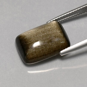 Obsidian Gemstone in 15.8 x 11.7 mm Size for Sale, Obsidian Stone in Gold Sheen Color