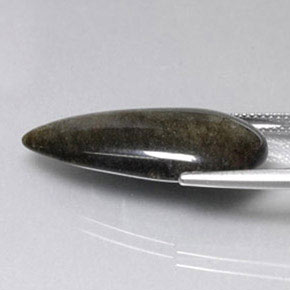 Obsidian Gemstone in 26.8 x 14.6 mm Size for Sale, Obsidian Stone in Gold Sheen Color