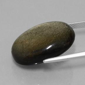 Obsidian Gemstone in 22.2 x 17.4 mm Size for Sale, Obsidian Stone in Black Gold Sheen Color