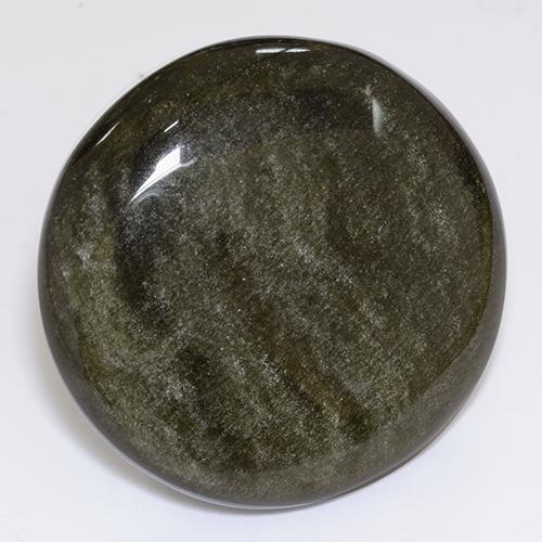Black with Gold Sheen Obsidian Gem - 41ct Round Cabochon (ID: 433886)