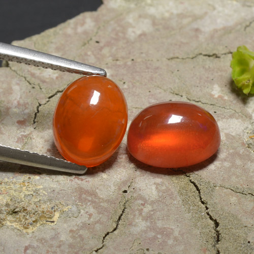 Intense Orange Opal Gem - 1.5ct Oval Cabochon (ID: 368208)