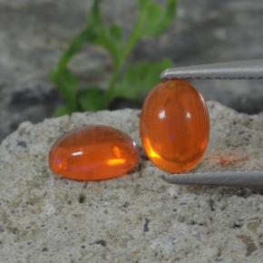 0.9ct Oval Cabochon Orange Opal Gem for sale 0.9ct Oval Cabochon Orange Opal Gem (ID: 368605)