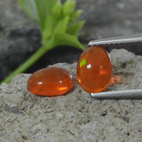 Intense Orange Opal Gem - 0.9ct Oval Cabochon (ID: 368692)