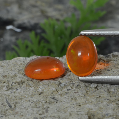 Intense Orange Opal Gem - 0.7ct Oval Cabochon (ID: 368693)