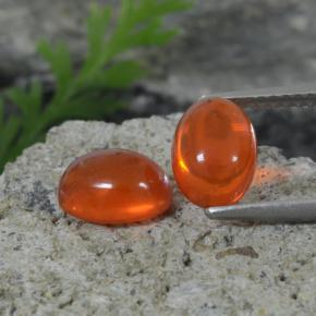 Naranja medio Ópalo Gema - 1ct Cabujón Óvalo (ID: 368701)