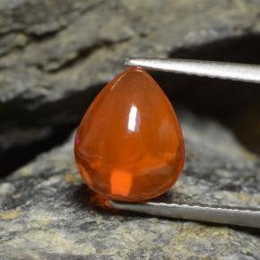 Intense Orange Opal Gem - 1.9ct Pear Cabochon (ID: 368809)