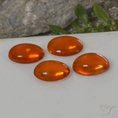 4-teiliges Opal / Set - Oval-Cabochon Schliff Orange aus Äthiopien - Größe 8 x 6,1mm, Gewicht 2,53 ct gesamt / Durchschn. je 0,63 ct, Farbe: Mittelorange, Mohs-Härte 5,5 - 6,5, Jahr des Schlangen-Edelsteins, Photo A