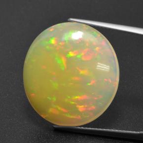 13.7ct Oval Cabochon Multicolor Opal for sale thumb image of 13.7ct Oval Cabochon Multicolor Opal (ID: 462136)