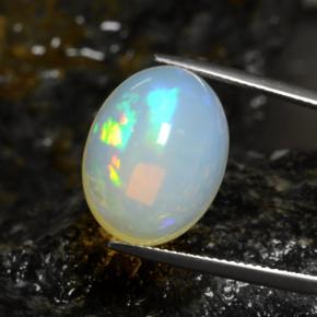 Multicolor Opal Gem - 11.9ct Oval Cabochon (ID: 462139)