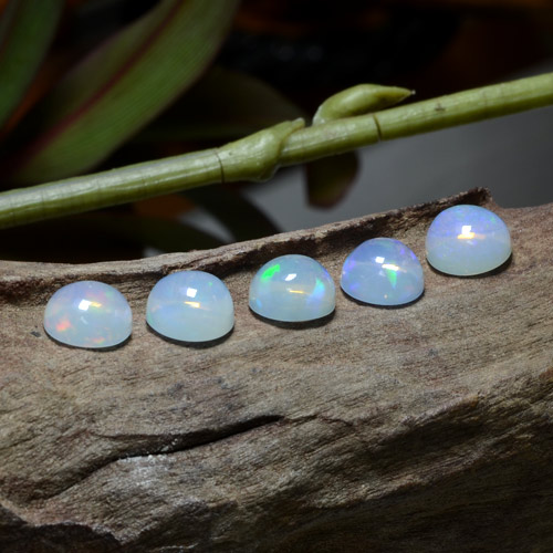 Multicolor Opal Gem - 1.5ct Round Cabochon (ID: 466384)