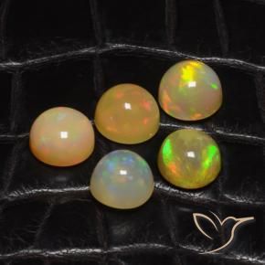8.39 ctw Multicolor Opal Stones, Natural Opal in Round Cabochon Shape for Sale