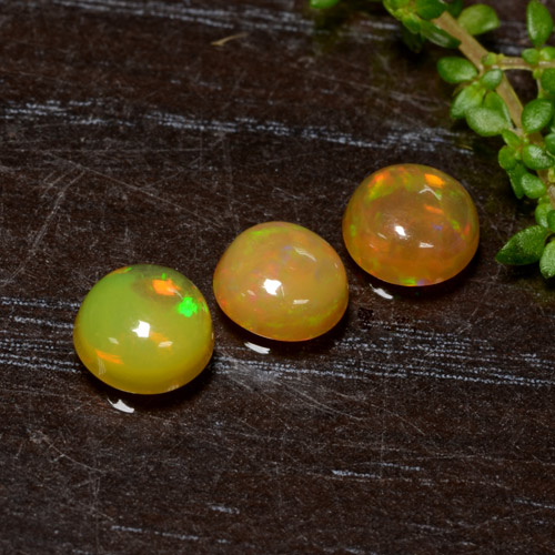 Multicolor Opal Gem - 0.5ct Round Cabochon (ID: 477315)