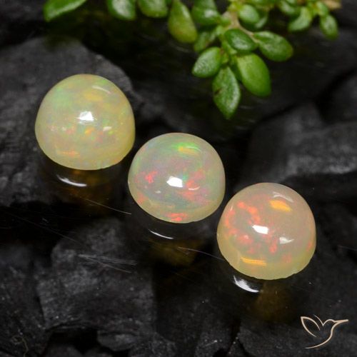 Multicolor Opal Gem - 0.4ct Round Cabochon (ID: 477353)
