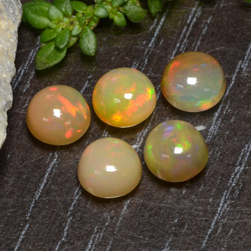 Multicolor Opal Gem - 0.5ct Round Cabochon (ID: 477517)