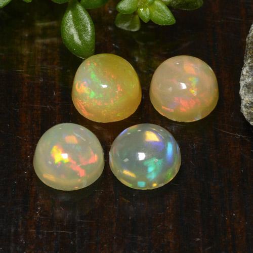 Mehrfarbig Opal Edelstein - 0.4ct Rund Cabochon (ID: 477544)