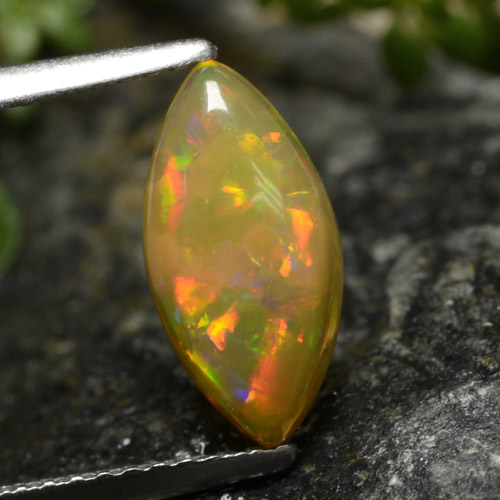Multicolor Opal Gem - 1.1ct Marquise Cabochon (ID: 478417)