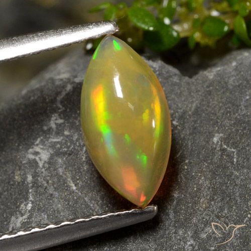 0.72ct طبيعي متعدد الألوان أوبال, ماركيز, شفاف, Photo A