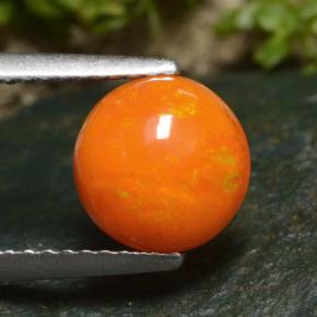 1.2ct Round Cabochon Orange Opal Gem for sale 1.2ct Round Cabochon Orange Opal Gem (ID: 478966)