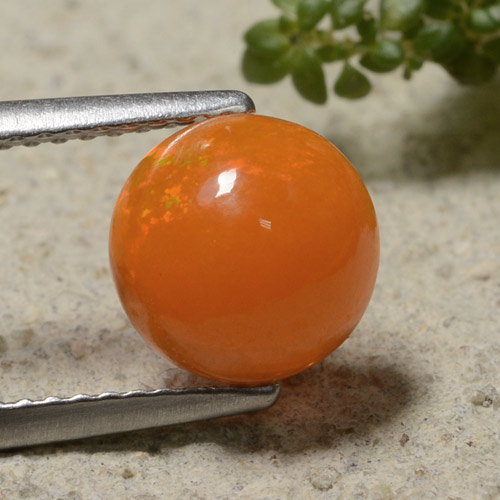 Intense Orange Opal Gem - 1.5ct Round Cabochon (ID: 479115)