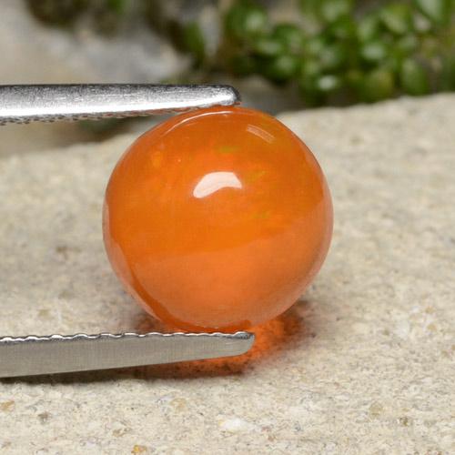 Intense Orange Opal Gem - 1.2ct Round Cabochon (ID: 479120)