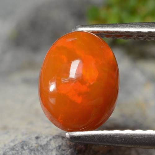 Reddish Orange Opal Gem - 1.1ct Oval Cabochon (ID: 479296)