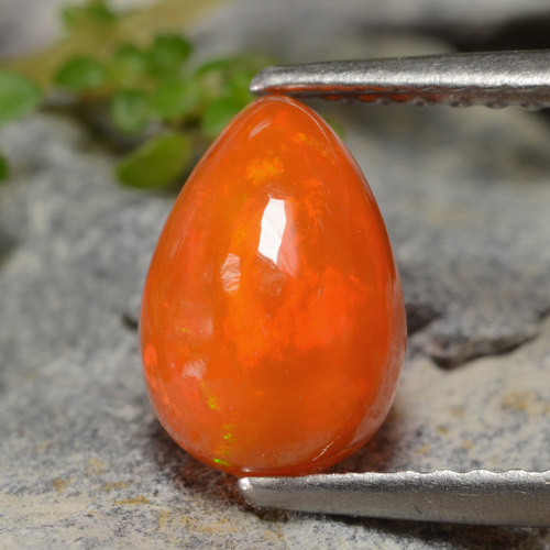 Bright Orange Opal Gem - 1.2ct Pear Cabochon (ID: 479301)