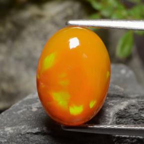 Ярко-оранжевый Опал Камень - 2.5ct Овал Кабошон (ID: 479503)