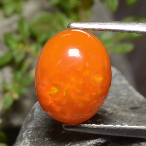 Intense Orange Opal Gem - 2ct Oval Cabochon (ID: 479504)