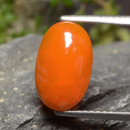 Medium Orange Opal Gem - 1.7ct Oval Cabochon (ID: 479508)