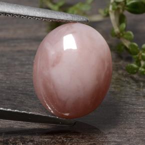 Peach Pink Опал Камень - 2.9ct Овал Кабошон (ID: 484815)