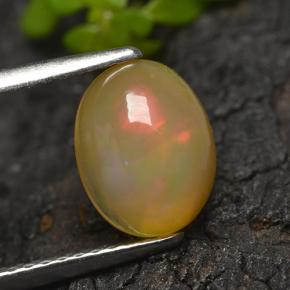 Multicolor Opal Gem - 1.3ct Oval Cabochon (ID: 498284)