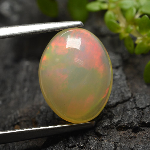 Opale Multicolore Ovale 10 x 7,8mm d'Éthiopie, poids de 1,65 ct, pierre gemme naturelle Non traité de pureté Translucide, 1 pièce d'opale oval cabochon, couleur : Multicolore, dureté de Mohs de 5.5 à 6.5, Année de la pierre précieuse du serpent, Photo A