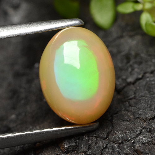 Multicolor Opal Gem - 1.9ct Oval Cabochon (ID: 498287)